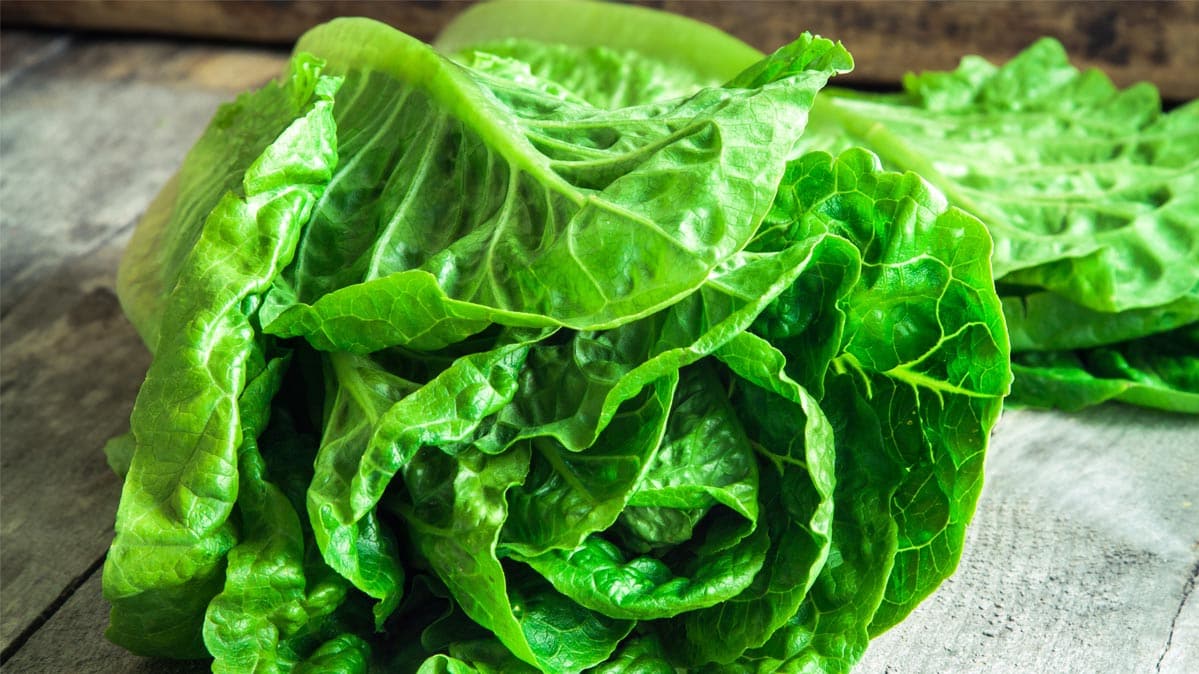 CDC Alert Romaine lettuce salmonella outbreak